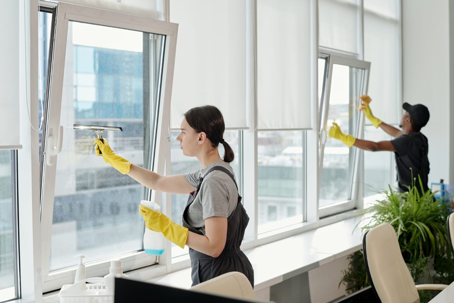Westchester Window Cleaning