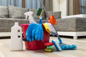 Cleaning Service. Bucket With Sponges, Chemical Bottles And Mopping Stick.
